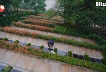 Thời gian tươi đẹp của anh và em tập 44